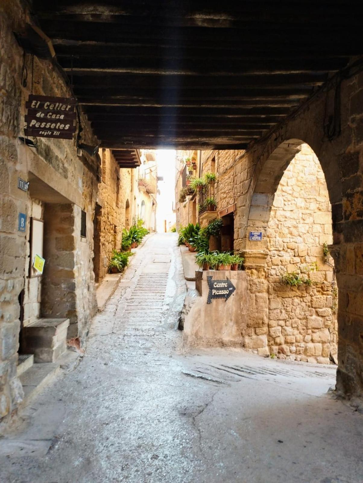 La Casa Del Castell Villa Horta de Sant Joan Buitenkant foto